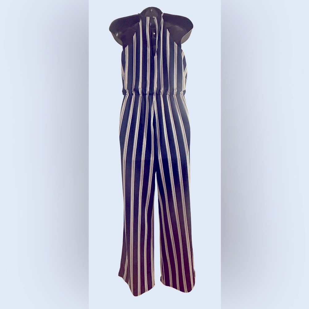 Elegant Navy and White Striped Jumpsuit - Picture 2 of 7